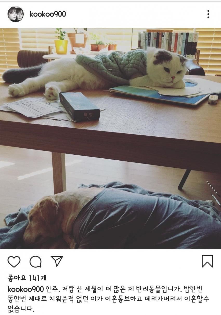 구혜선 인스타 사진 논란, 안재현이 지켜야 되는 것 관련 이미지 1