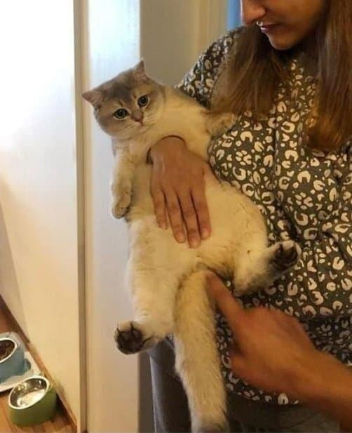 이해하면 무서운 짤 모음 관련 이미지 3