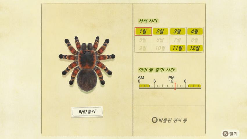 '모여봐요 동물의 숲' 곤충도감 정리 및 공략(完) 관련 이미지 30