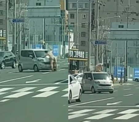울산 터미네이터 등장!(영상) 관련 이미지 1
