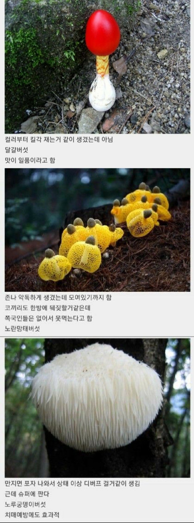 이해하면 무서운 사진 모음 관련 이미지 1