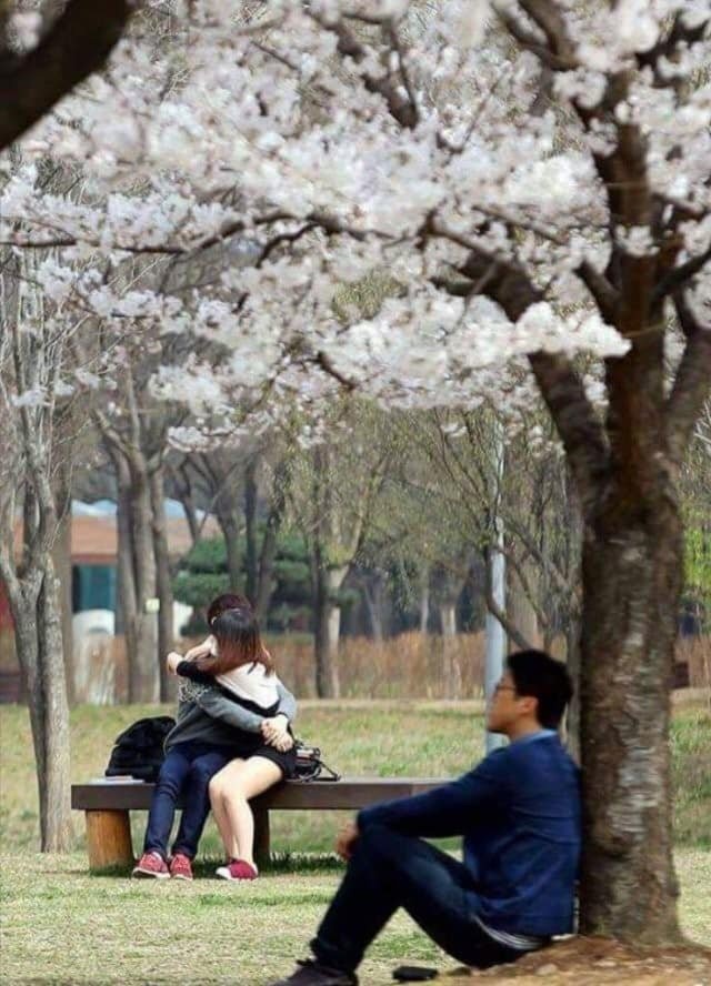 대한민국 역대 퓰리쳐상 모음 관련 이미지 26