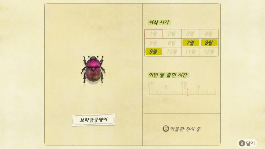 '모여봐요 동물의 숲' 곤충도감 정리 및 공략(完) 관련 이미지 2