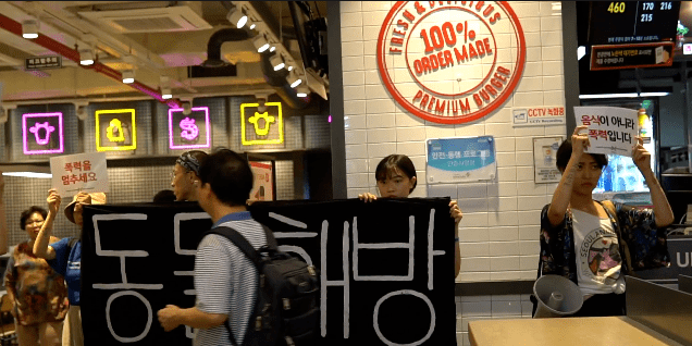 정신나간 비건 단체 행보 근황 관련 이미지 7