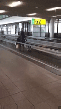 이해하면 무서운 사진 모음 관련 이미지 2