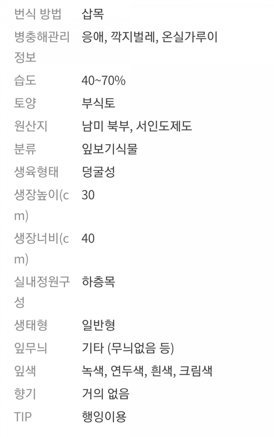 다이어트 직빵! 시서스 가루 효과와 부작용에 대하여 모든 정보 관련 이미지 3