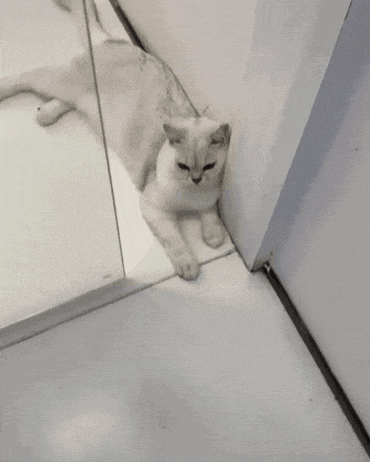 이해하면 무서운 짤 모음 관련 이미지 2