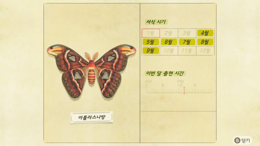 '모여봐요 동물의 숲' 곤충도감 정리 및 공략(1) 관련 이미지 15
