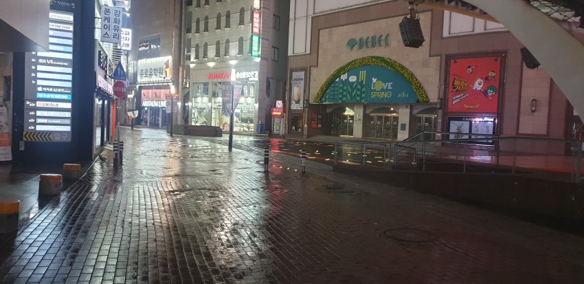 대구 코로나 봉쇄? 정부 관련 이미지 4