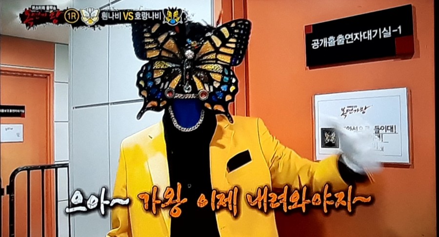 복면가왕, 뽀글이 흰나비 김수로 푸들 정체 공개! 관련 이미지 4