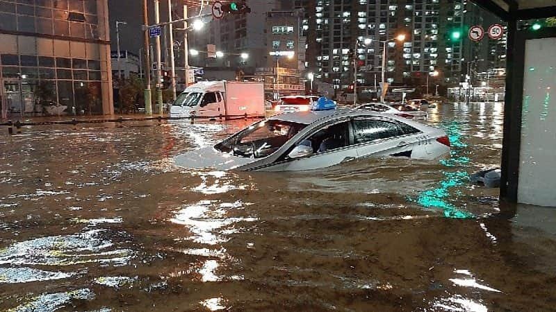 실시간 관련 이미지 13