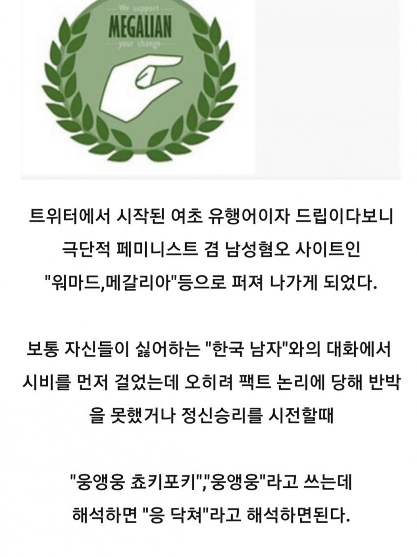트와이스 지효 웅앵웅, 메갈 언어 사용? 관련 이미지 4