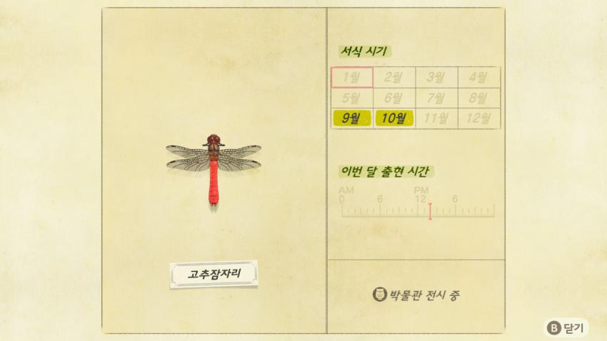 '모여봐요 동물의 숲' 곤충도감 정리 및 공략(2) 관련 이미지 8