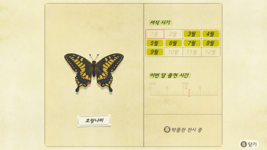 '모여봐요 동물의 숲' 곤충도감 정리 및 공략(1) 관련 이미지 4