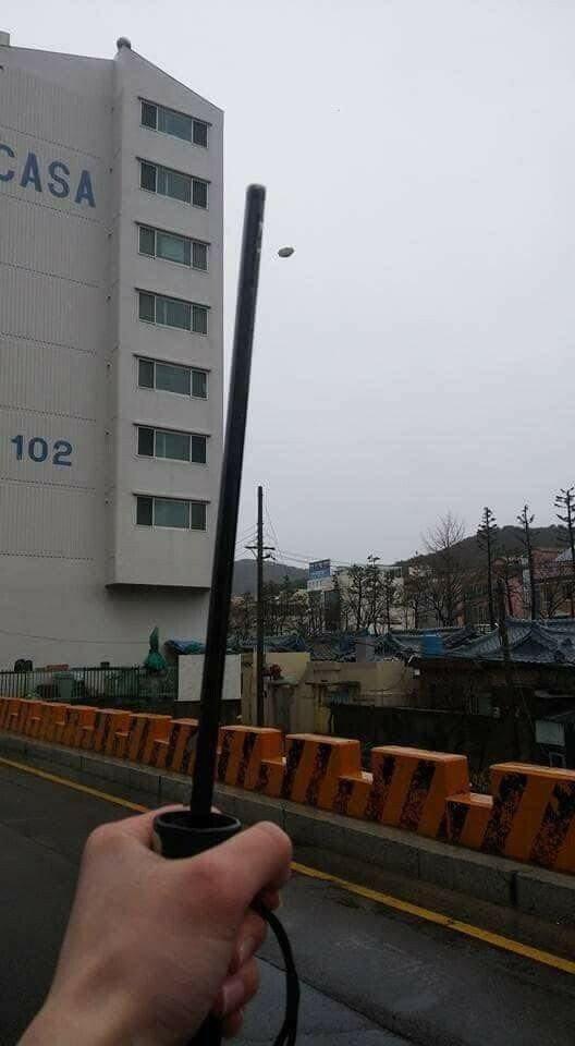 오늘자 태풍 링링의 위력, 피해 상황 근황 관련 이미지 5