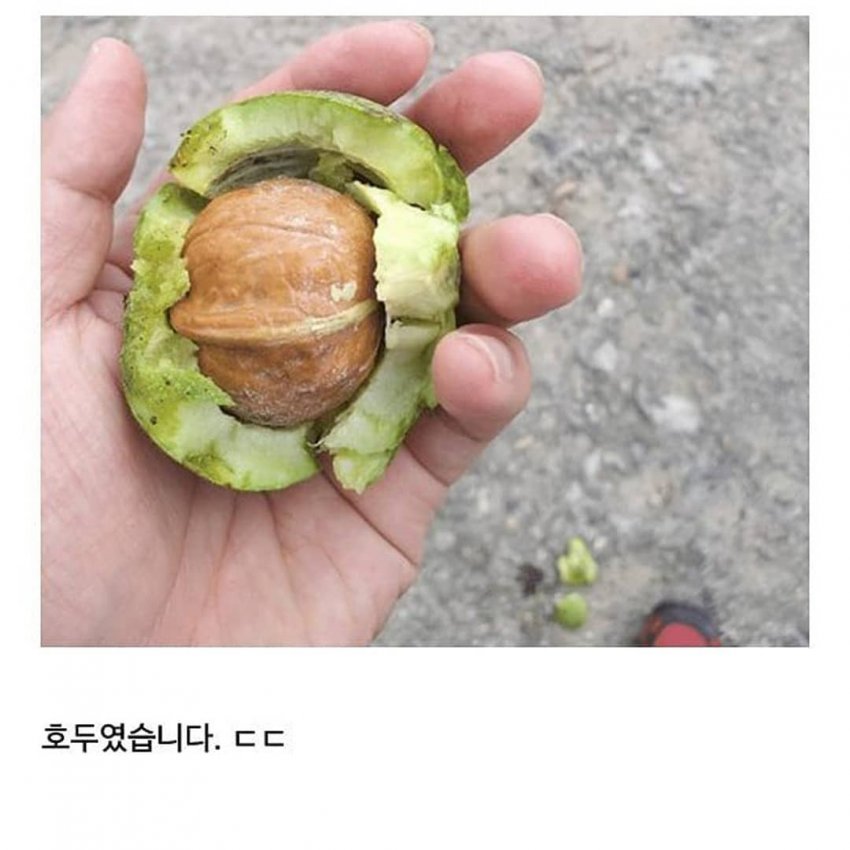 이해하면 무서운 사진 모음 관련 이미지 5