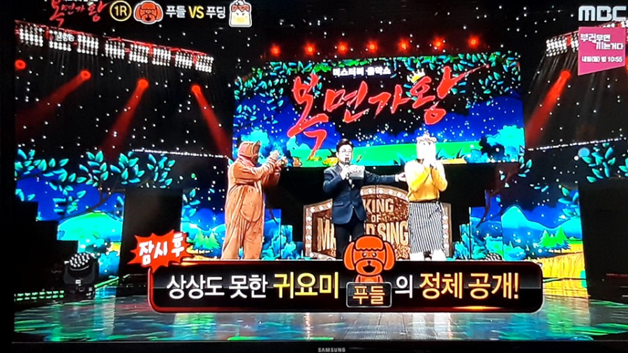 복면가왕, 뽀글이 흰나비 김수로 푸들 정체 공개! 관련 이미지 13