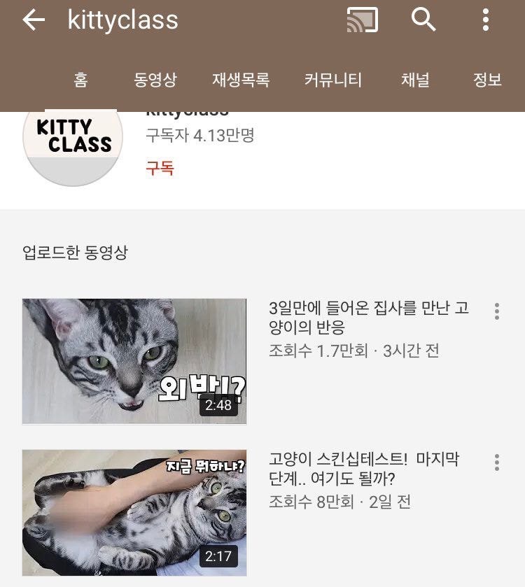유튜버 갑수목장, 관련 이미지 11
