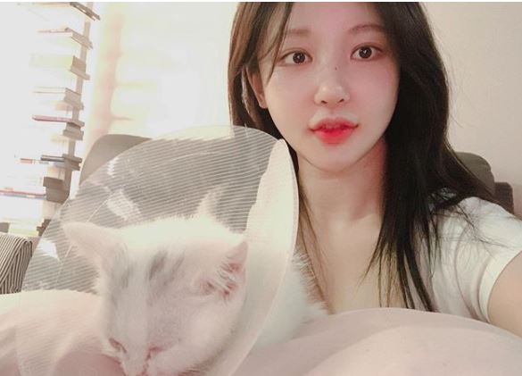 BJ아지땅, 관련 이미지 1