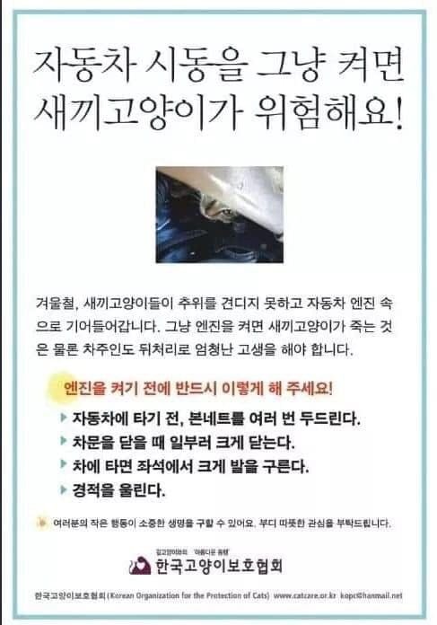 모닝노크 관련 이미지 11