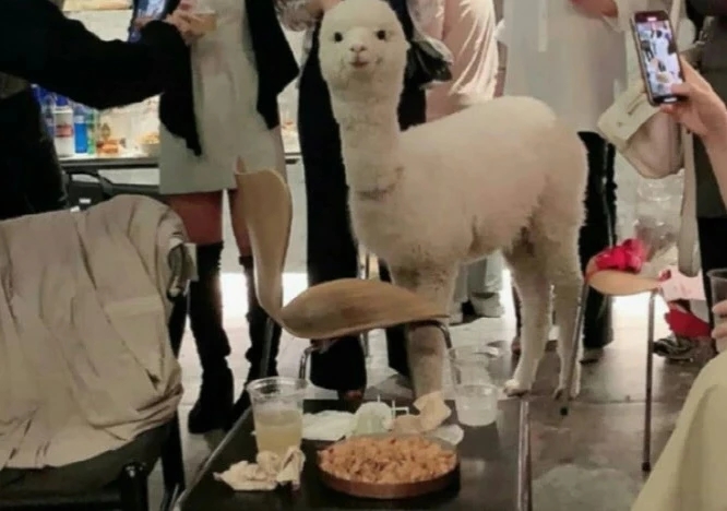 청담동 생일파티, 이민정 이주연 손연재 관련 이미지 4