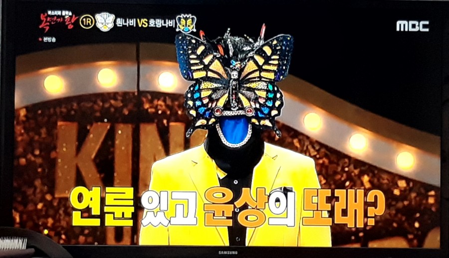 복면가왕, 뽀글이 흰나비 김수로 푸들 정체 공개! 관련 이미지 3