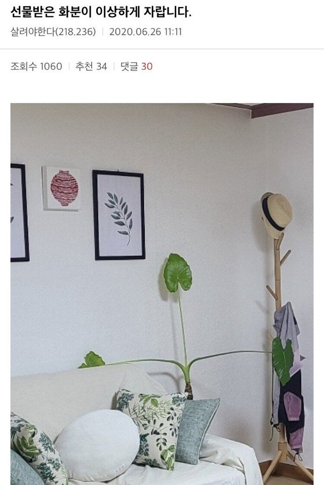 이해하면 무서운 사진 모음 관련 이미지 2