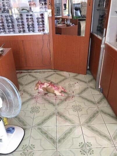 이해하면 무서운 사진 모음 관련 이미지 6
