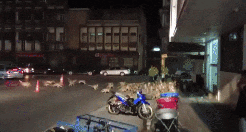 이해하면 무서운 사진 모음 관련 이미지 3