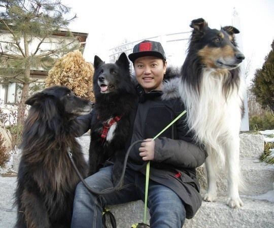 배우 김민교, 반려견 관련 이미지 5