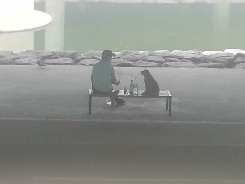 대한민국 역대 퓰리쳐상 모음 관련 이미지 20