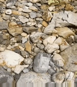 이해하면 무서운 사진 모음 관련 이미지 4
