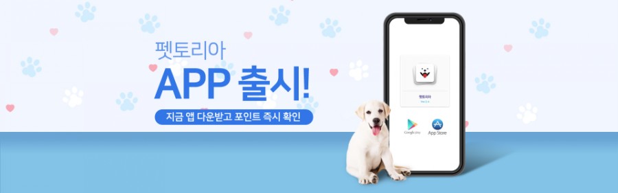펫토리아, 오퀴즈 퀴즈 정답 공개 관련 이미지 3