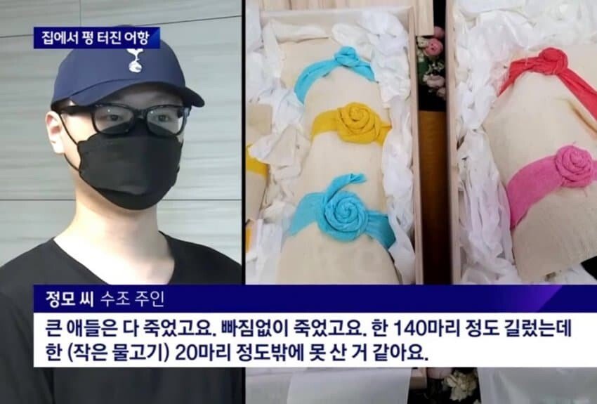 이해하면 무서운 사진 모음 관련 이미지 3