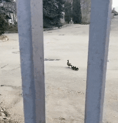 이해하면 무서운 사진 모음 관련 이미지 5