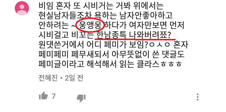 트와이스 지효 웅앵웅, 메갈 언어 사용? 관련 이미지 6