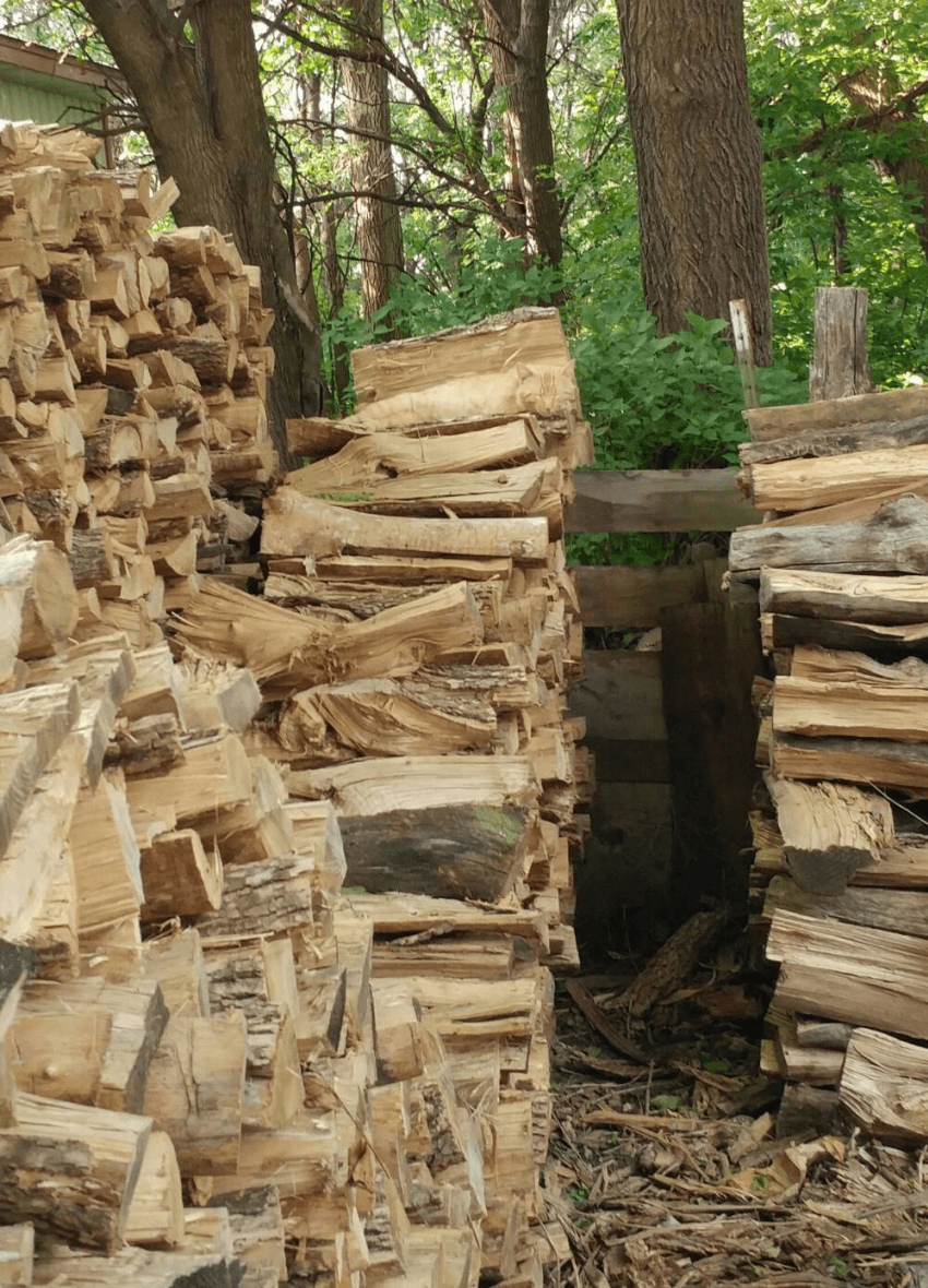 이해하면 무서운 사진 모음 관련 이미지 6