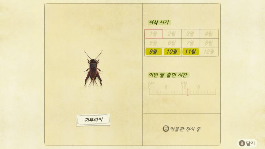 '모여봐요 동물의 숲' 곤충도감 정리 및 공략(1) 관련 이미지 21