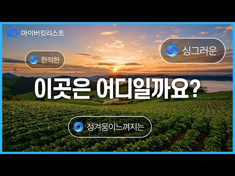 마이버킷리스트, 카카오페이지 퀴즈 정답 공개 관련 이미지 2