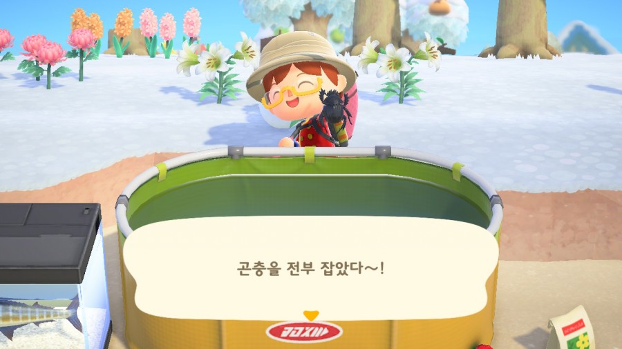 '모여봐요 동물의 숲' 곤충도감 정리 및 공략(完) 관련 이미지 1
