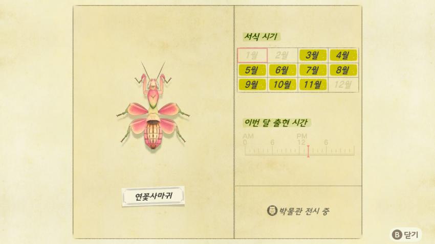 '모여봐요 동물의 숲' 곤충도감 정리 및 공략(1) 관련 이미지 24