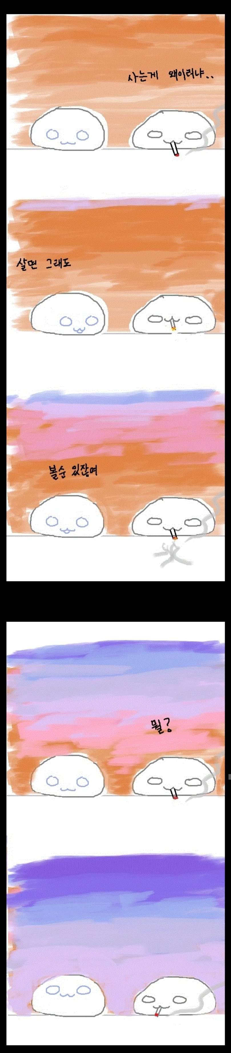 이해하면 무서운 사진 모음 관련 이미지 13