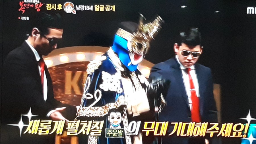 복면가왕, 낭랑18세 삶은달걀 바람개비 내가 그린 기린 그림 정체 공개! 관련 이미지 16