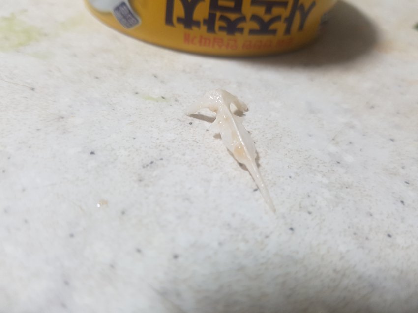 이해하면 무서운 사진 모음 관련 이미지 6