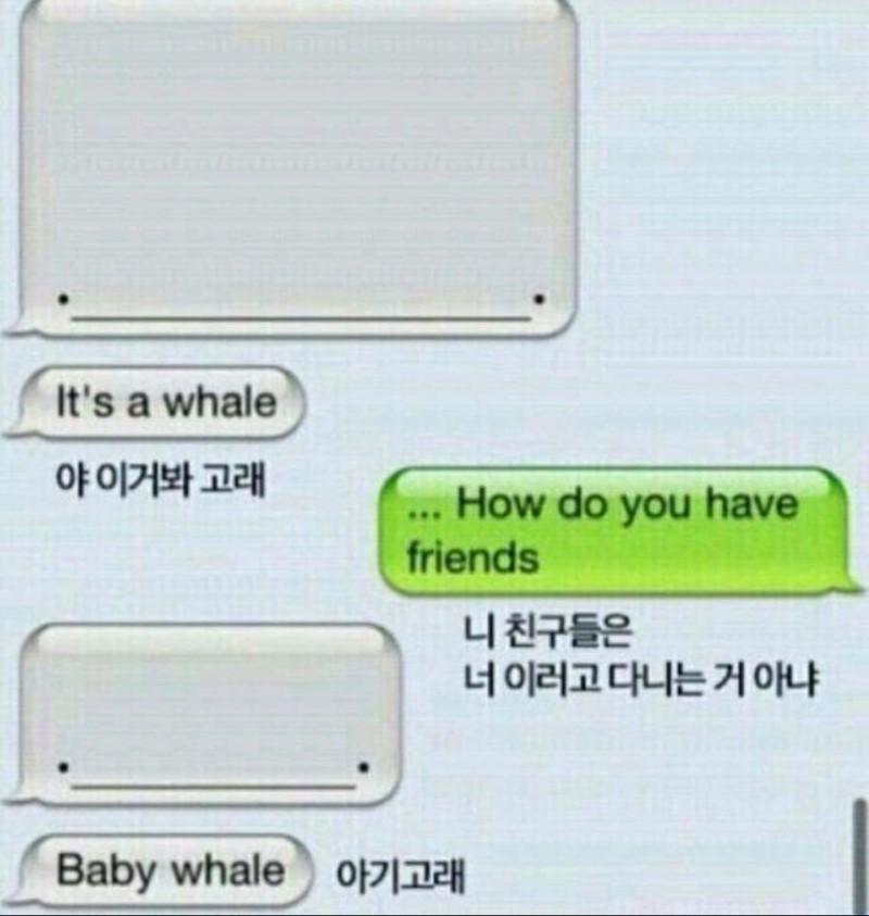 귀여운 고래 관련 이미지 1