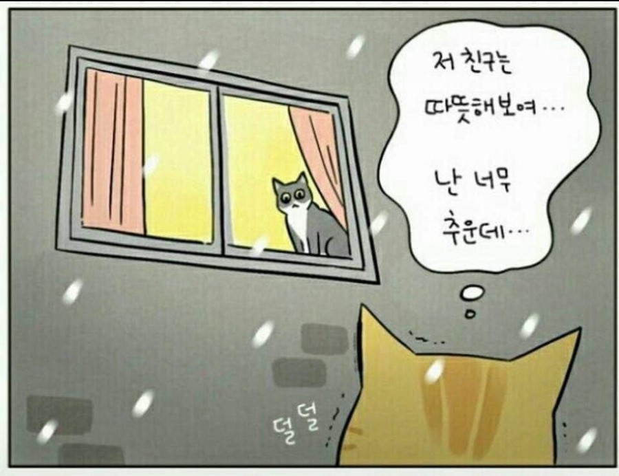 모닝노크 관련 이미지 2