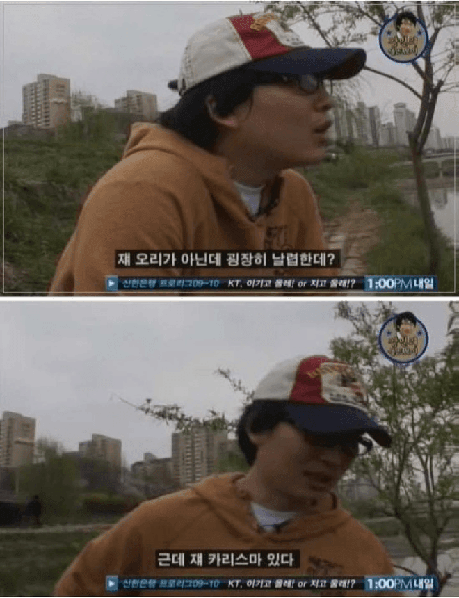 오리 관련 이미지 3