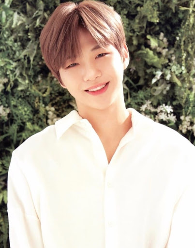 강다니엘 공식입장, 관련 이미지 4
