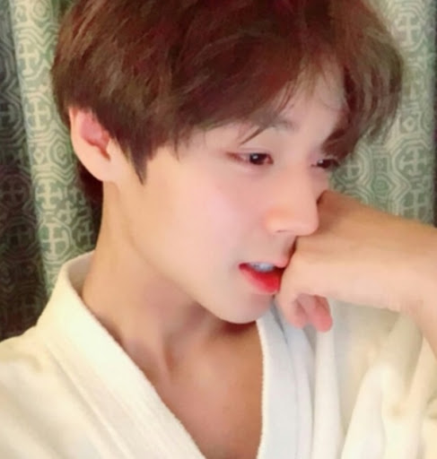 웹툰 연애혁명 드라마, 워너원 관련 이미지 3