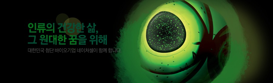 네이처셀 주가조작, 대표 라정찬 12년 구형! 주가 급하락.. 관련 이미지 4